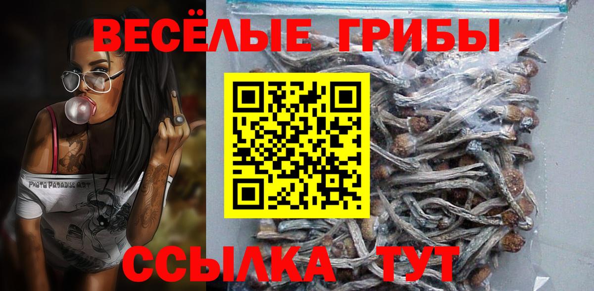 Галлюциногенные грибы ЛСД Сочи
