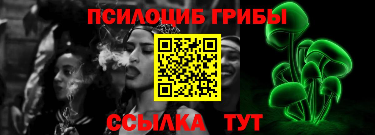 Галлюциногенные грибы прущие грибы  Вход с VPN  Сочи  Галлюциногенные грибы Psilocybine cubensis 
