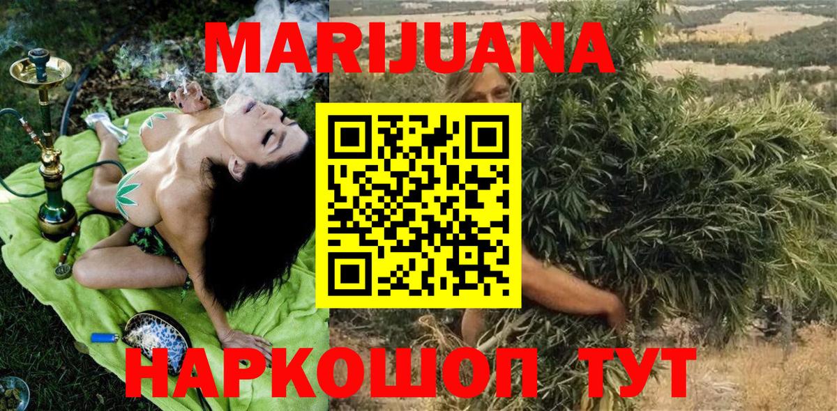 Сочи  Бошки Шишки планчик  Бошки Шишки гибрид  Вход с VPN 